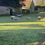 Chateau De Bed and breakfast
