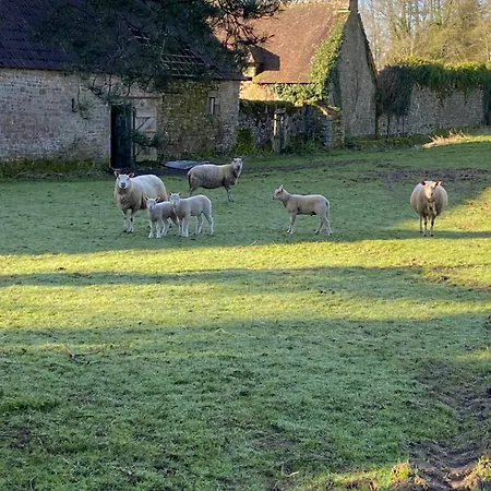 Chateau De Bed and Breakfast