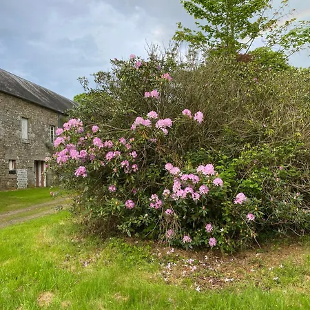 Chateau De Bed and Breakfast