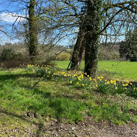 Bed and Breakfast Chateau De Saint-Pois