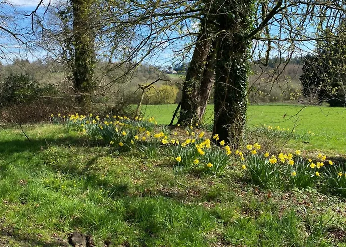 Bed & Breakfast Chateau De Saint-Pois